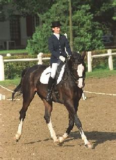 dressage3-1.jpg