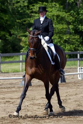 dressage-1.jpg