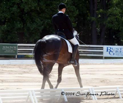 dressage2-1.jpg