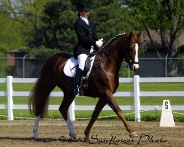 dressage4-1.jpg