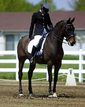 dressage5-1.jpg