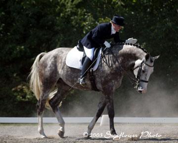 dressage6-1.jpg