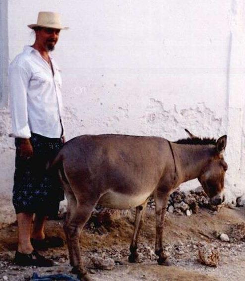 burro6pq-1.jpg