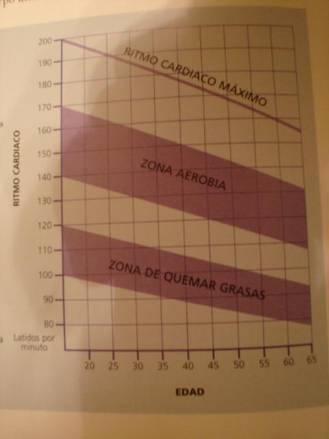 cmoquemargrasas0015iq-1.jpg