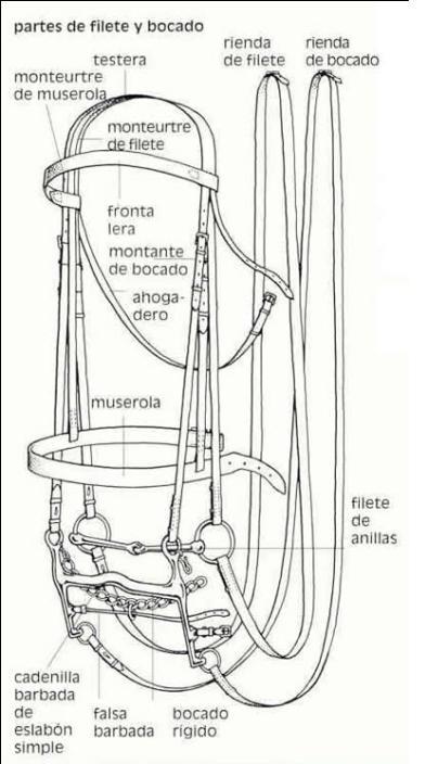 fileteybocado7jc-1.jpg