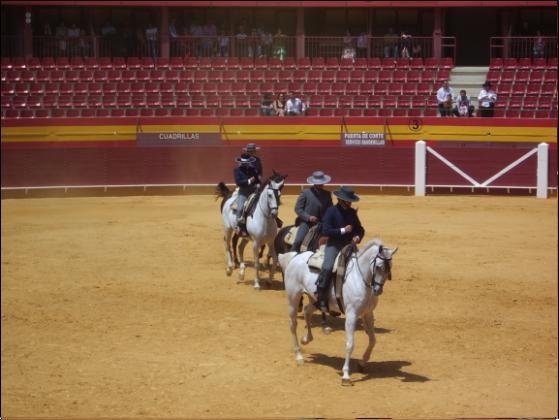 cuarteto28sv-1.jpg