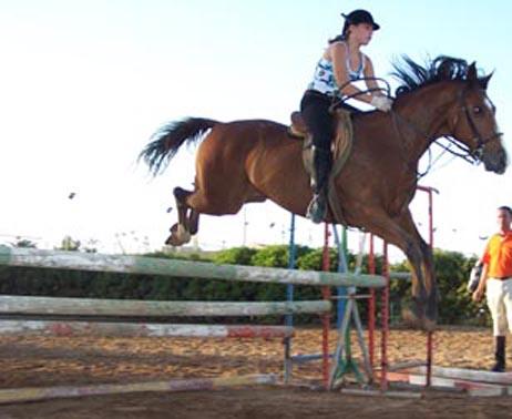 pauelexosalto9xc-1.jpg