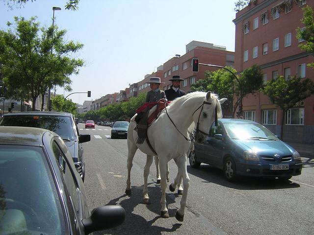 feria200652yw-1.jpg