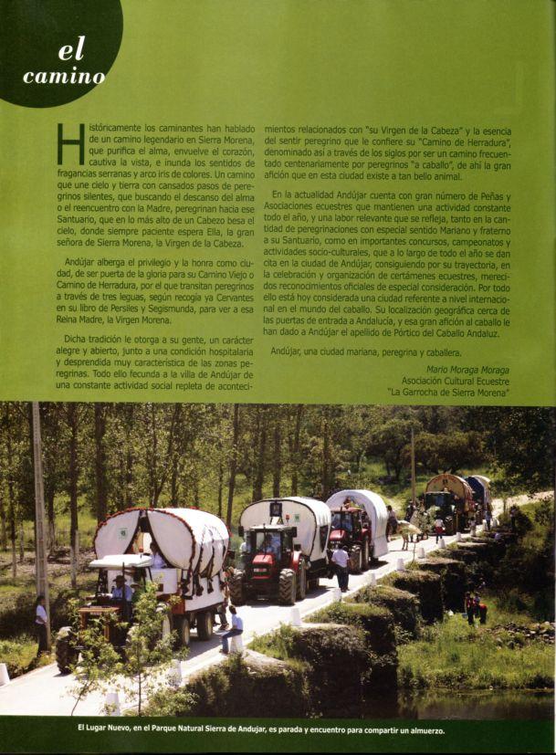 revista008sh8-1.jpg