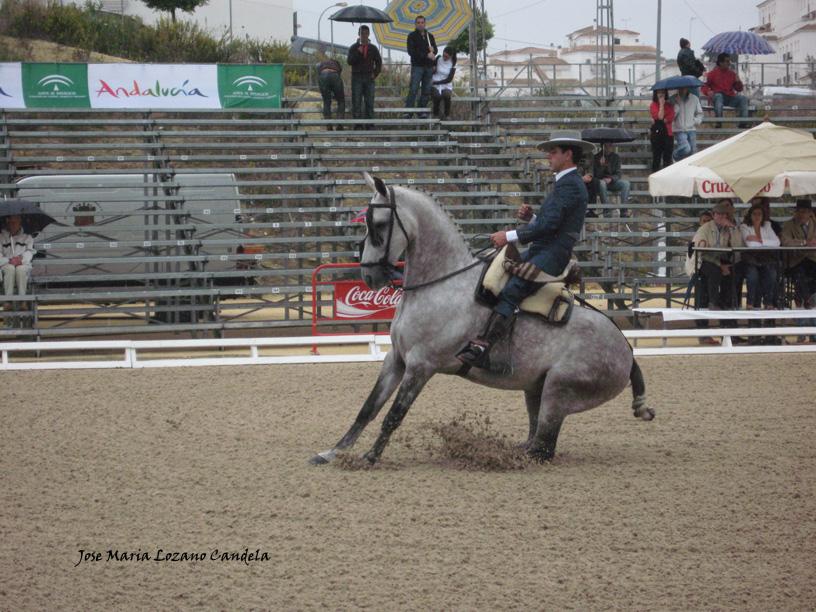 vejer2008030zv6-1.jpg