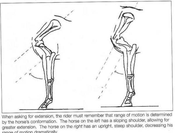 shoulderanglesgraph-1.jpg