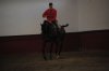 Clinic 2012 053.jpg