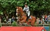 0228_by_equusaustralia-d61x39q.jpg